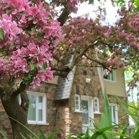 Rester Vivant Chambres D'Hotes Saint-Jean-Port-Joli Kültér fotó