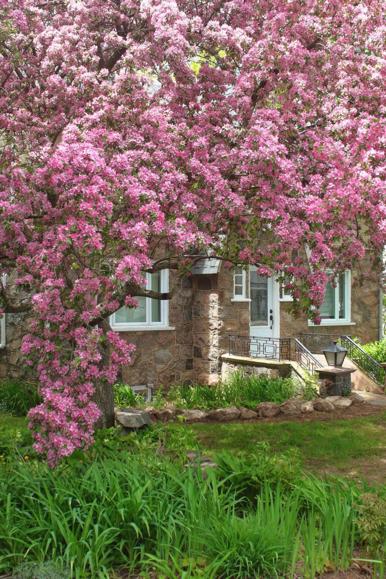 Rester Vivant Chambres D'Hotes Saint-Jean-Port-Joli Kültér fotó